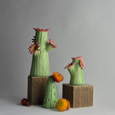 Cactus vases